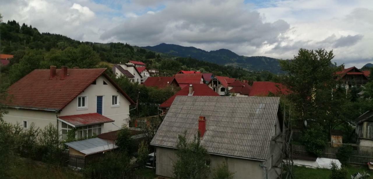 Traditia Borsanului Εξωτερικό φωτογραφία